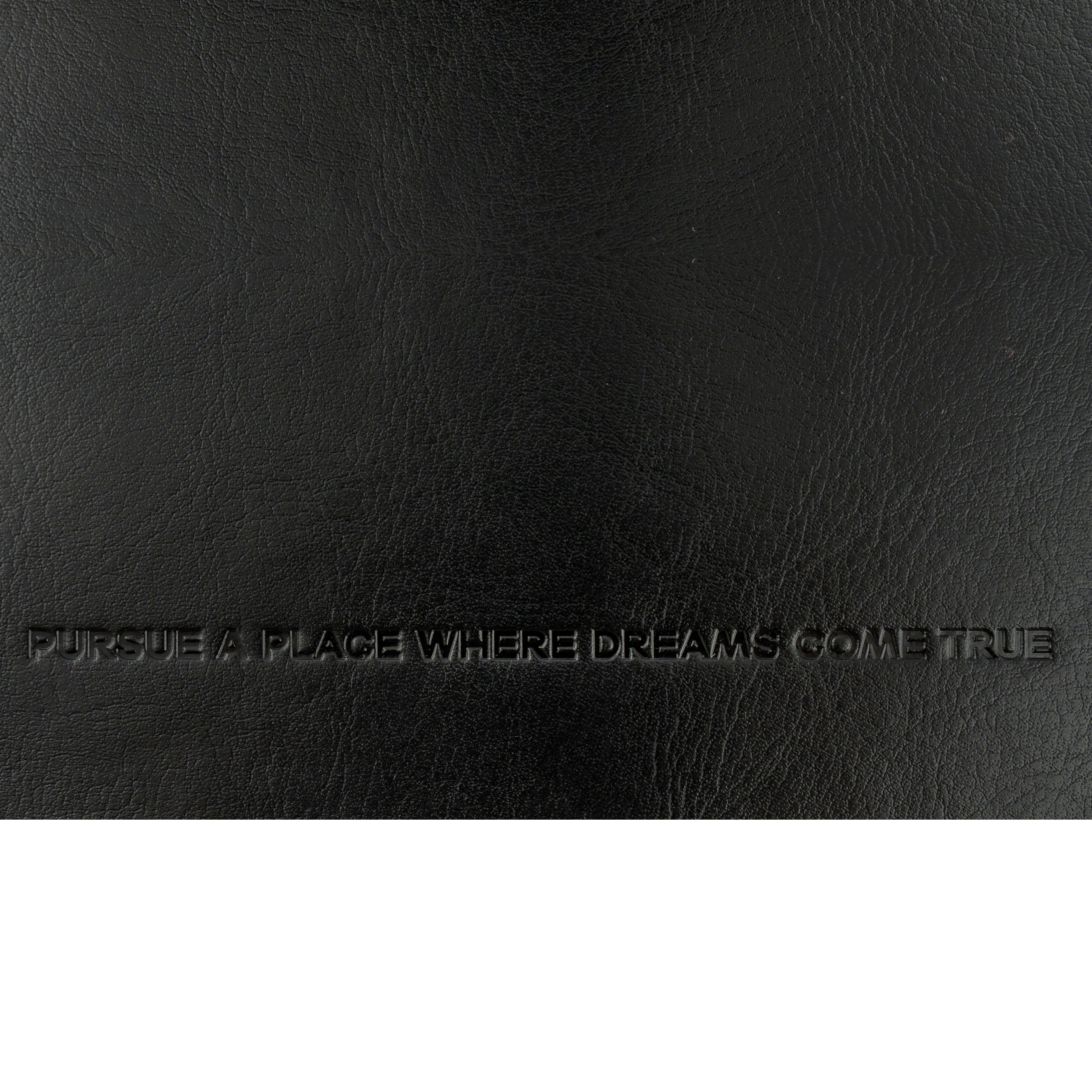 The Pursuetist Diary