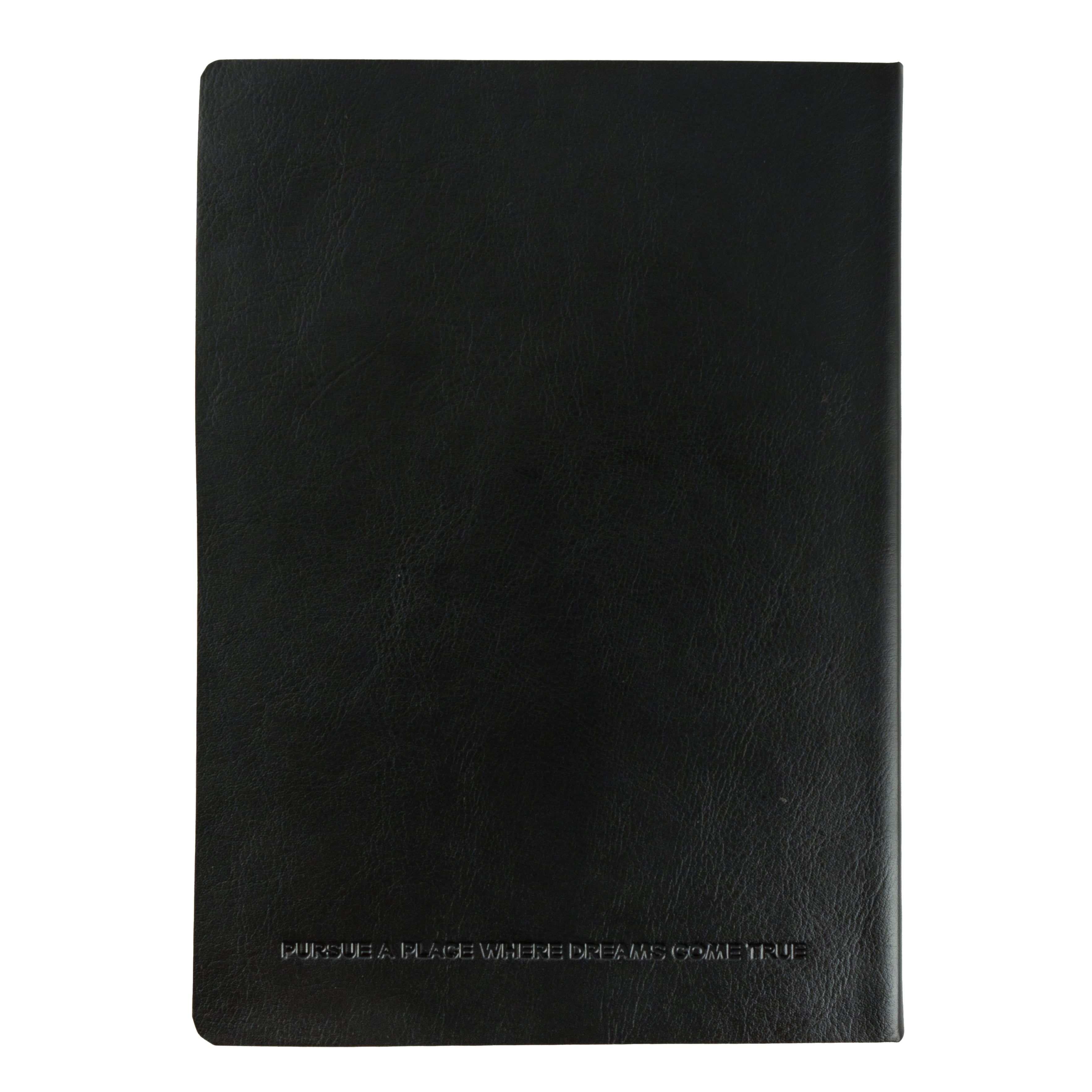 The Pursuetist Diary