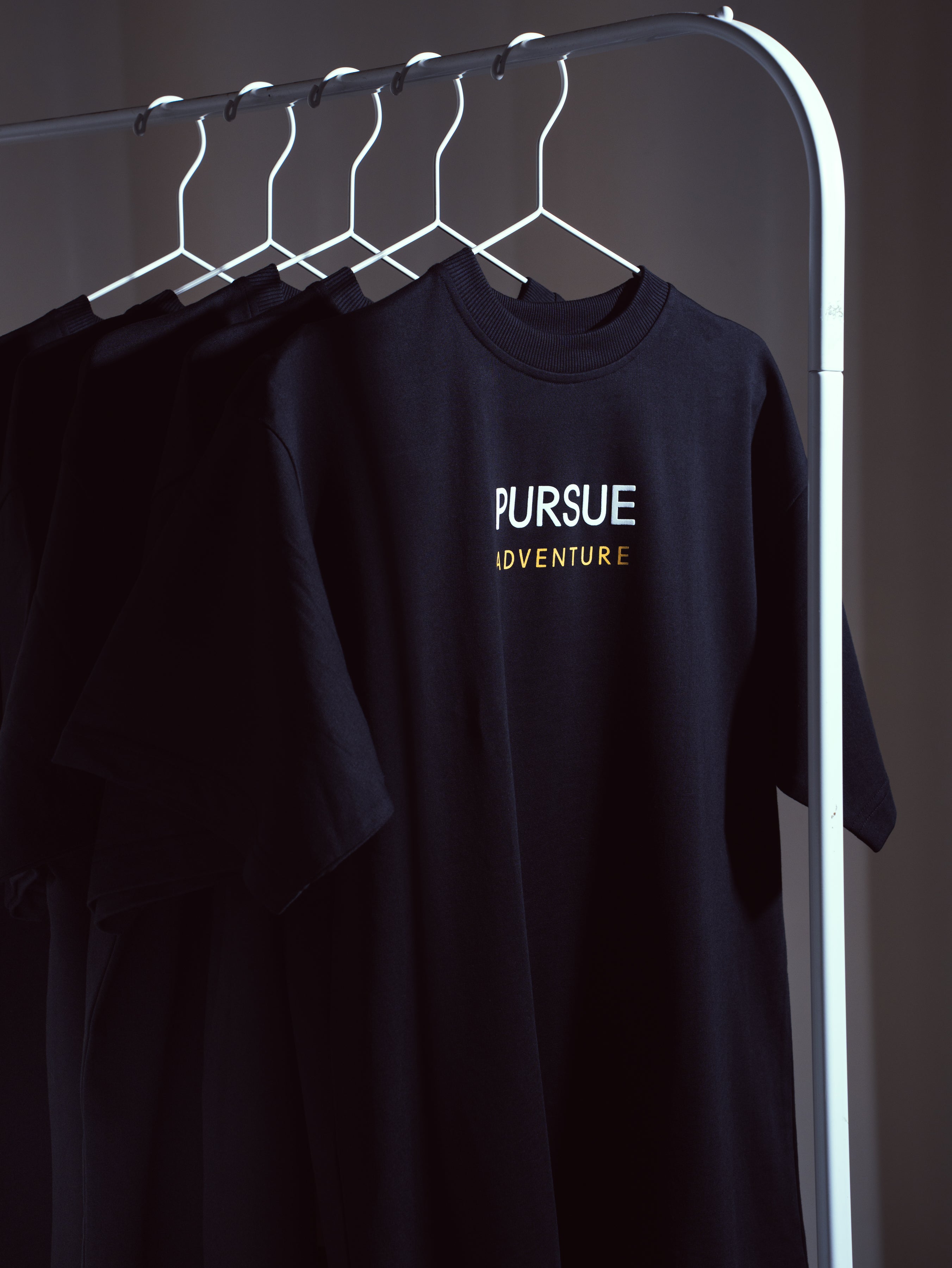 Pursue Adventure 2.0